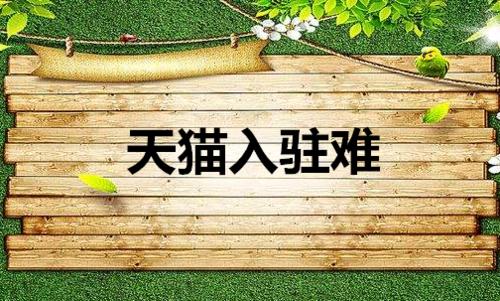 交通工具类天猫入驻资质要求及条件